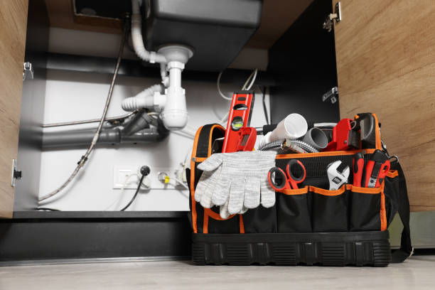 Best Local Plumber Services  in Manton, MI